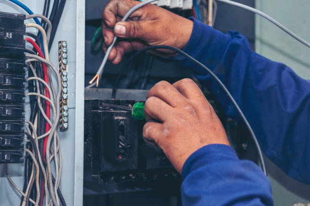 Best Electric Panel Repair  in USA